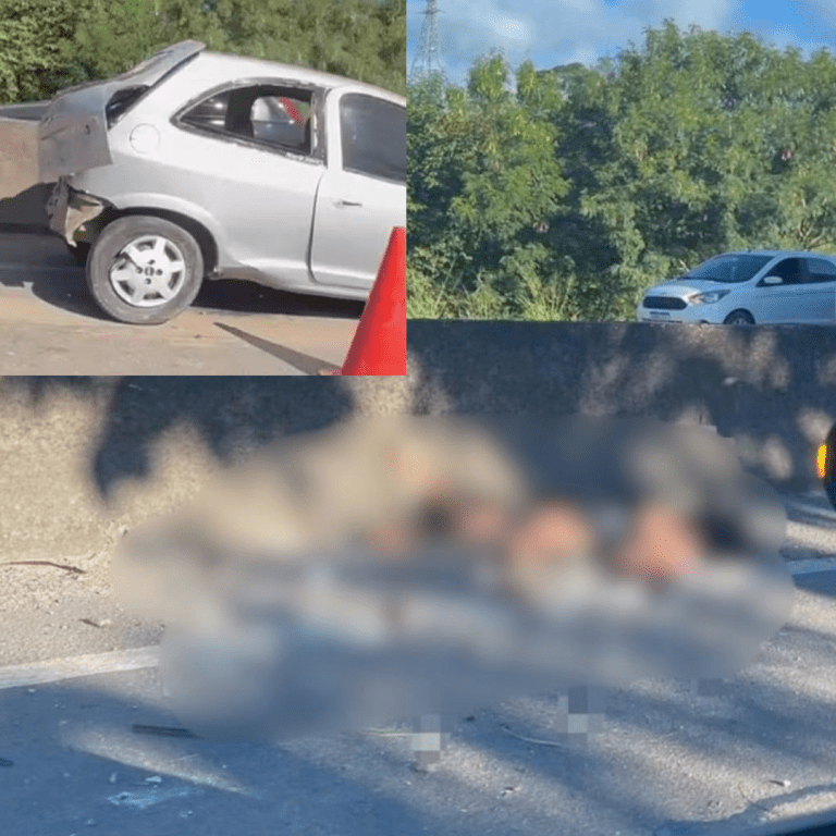 Mulher morre e quatro pessoas ficam  feridas após carro capotar na BR-101
