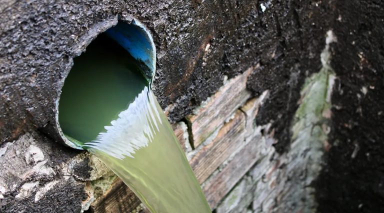 Deso alerta sobre prejuízos causados por redes irregulares de esgoto