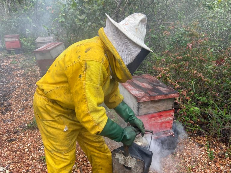 Apicultores de Lagarto recebem incentivo e potencializam produção