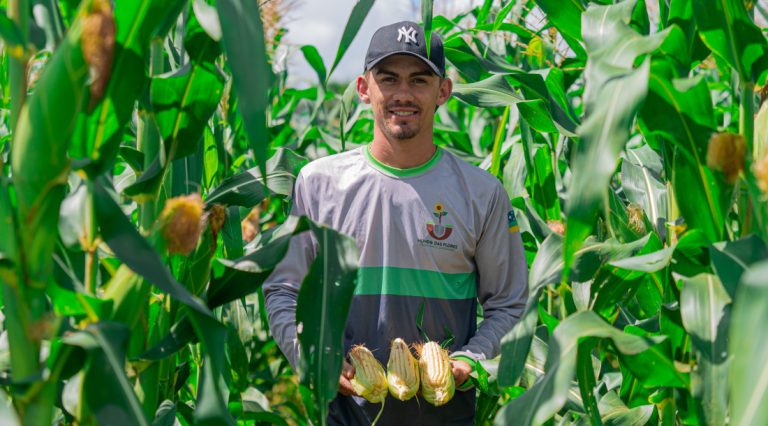 Produtores de Lagarto garantem milho para o período junino