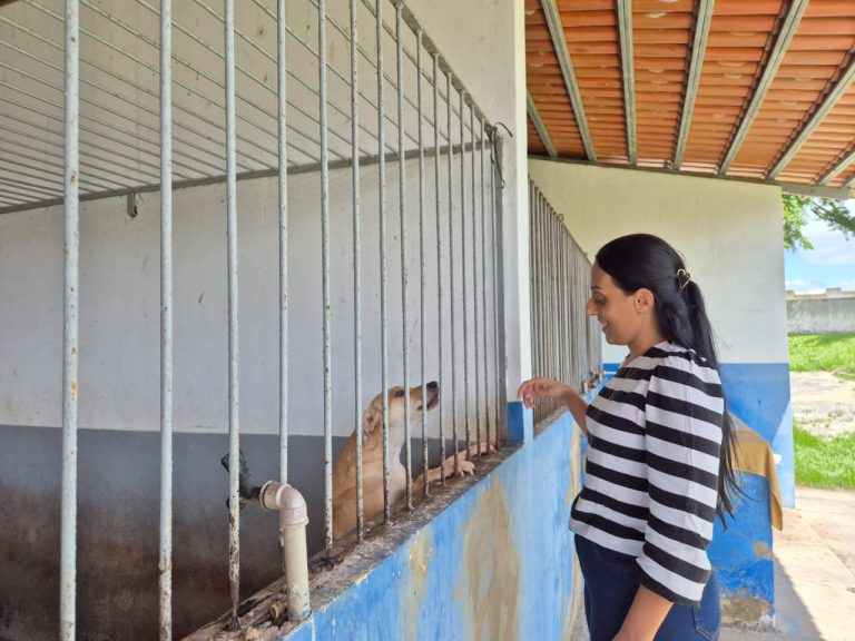 Centro de Zoonoses e Endemias de Lagarto retoma serviço de castração de animais