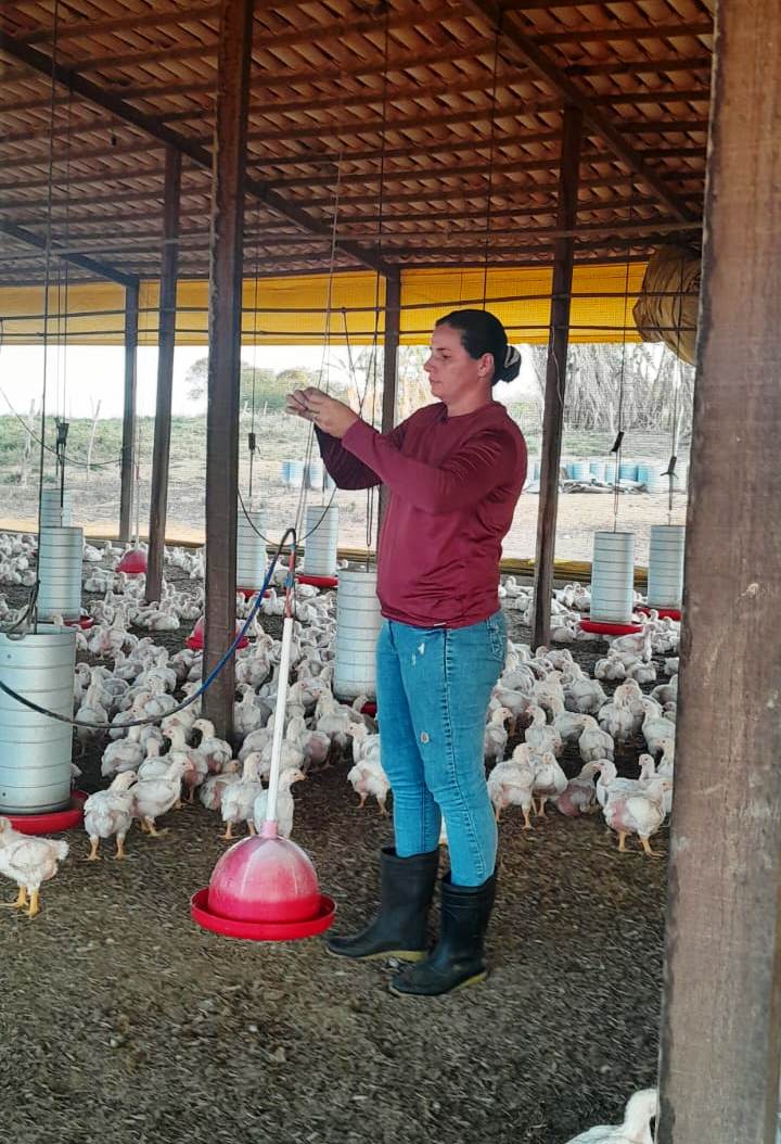 Agroamigo celebra 20 anos com R$ 44,3 bilhões aplicados e mulheres à frente das contratações