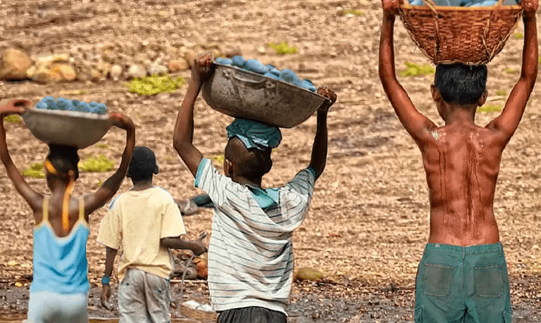 Mais de 6 mil crianças são resgatadas do trabalho infantil em 2 anos