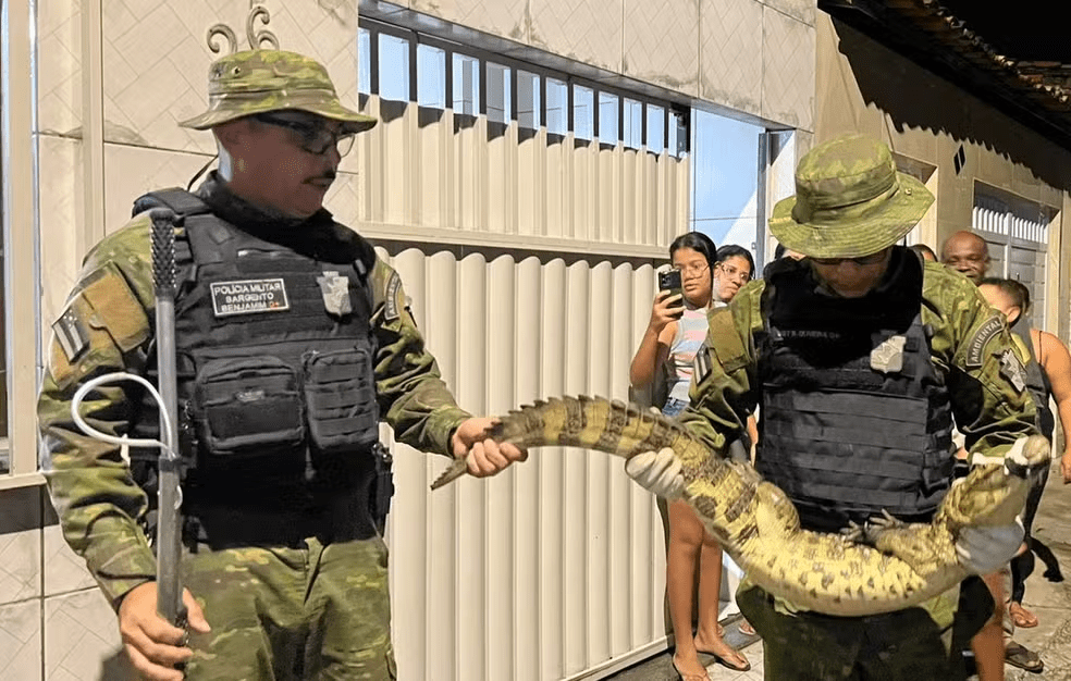 imagem_2025-06-18_134609221