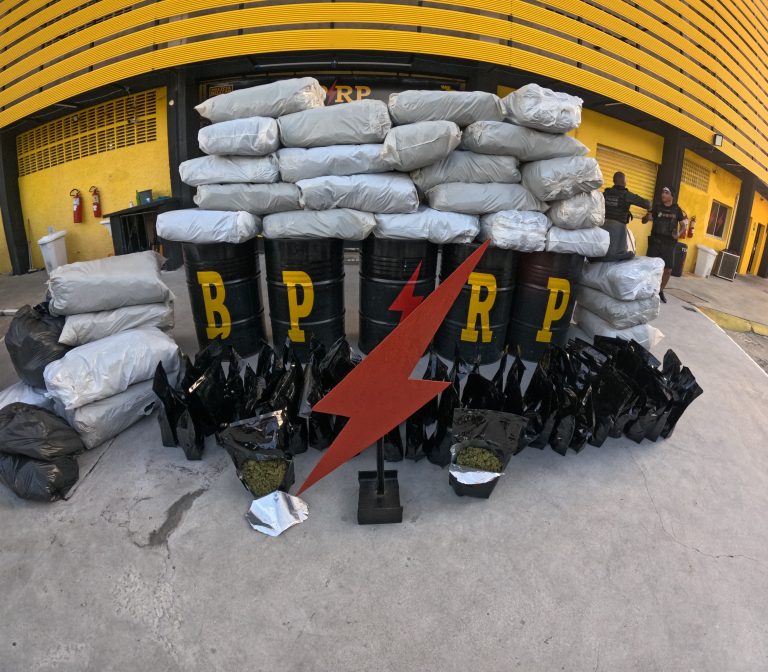 Polícia apreende mais de 292 quilos de “flor da maconha” e prende quatro pessoas