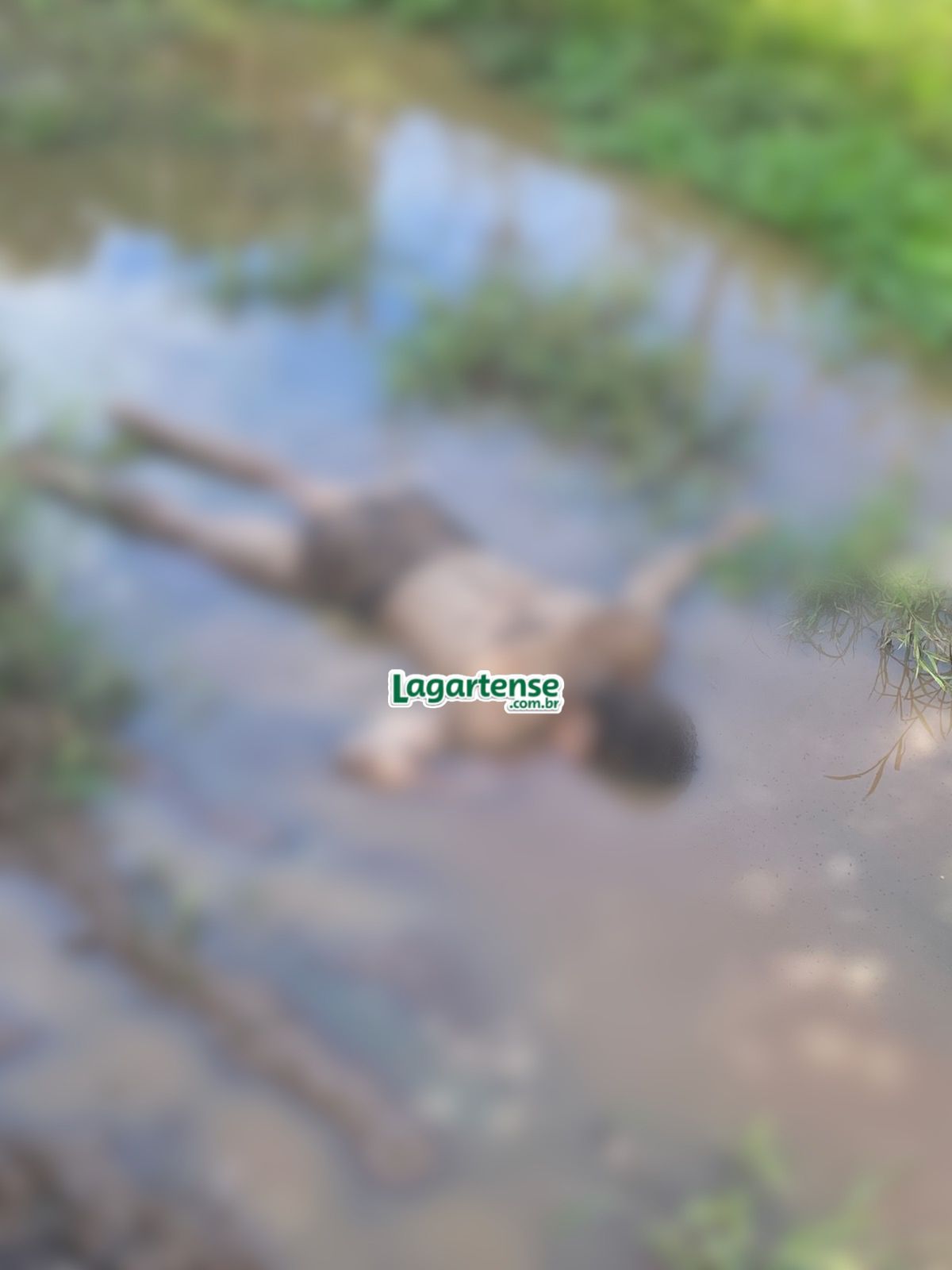 Imagem do WhatsApp de 2025-07-18 à(s) 12.25.08_a6fc90bb