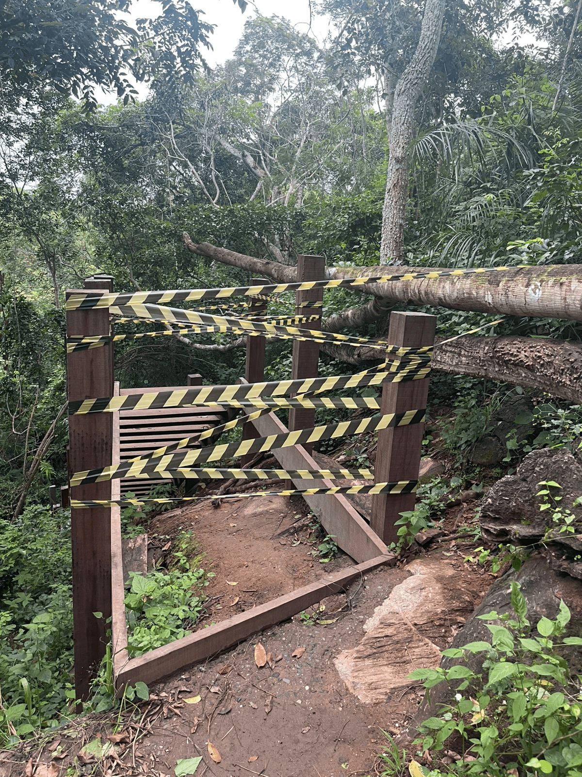 imagem_2025-07-01_202651295