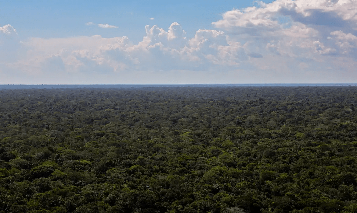 imagem_2025-07-04_111235089