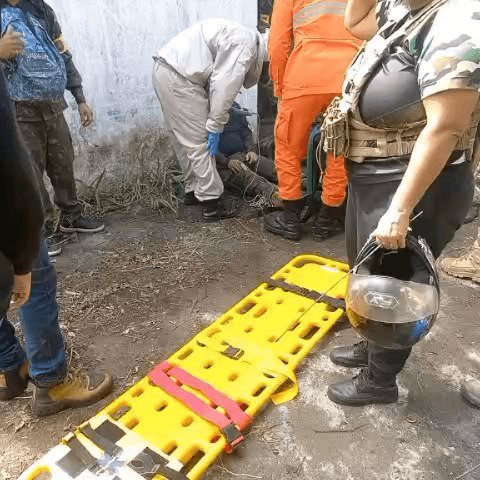 Ataque de abelhas deixa feridos em evento de airsoft na Zona Sul de Aracaju