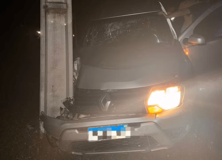 Motorista desvia de cavalo solto na pista, bate em poste e fica ferido em Estância