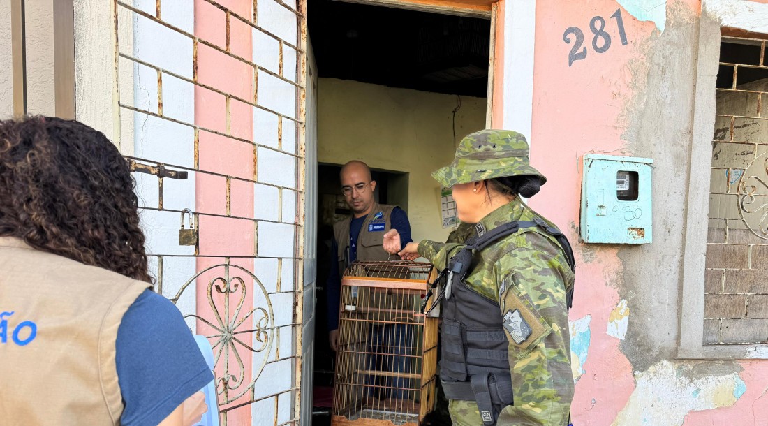 Fotos: Mariana Carvalho