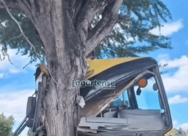 Ônibus escolar bate em árvore e deixa alunos feridos em Paulo Afonso
