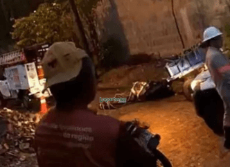 Cavalo morre eletrocutado após cabo de energia cair em estrada de Lagarto