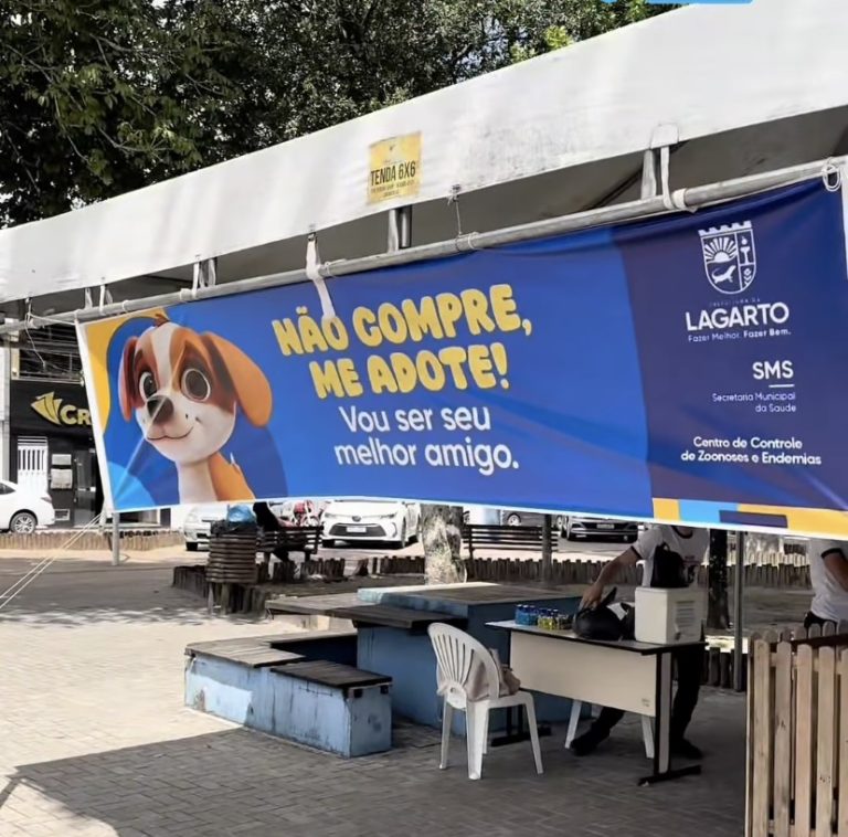Feirinha de adoção de animais acontece nesta sexta-feira em Lagarto