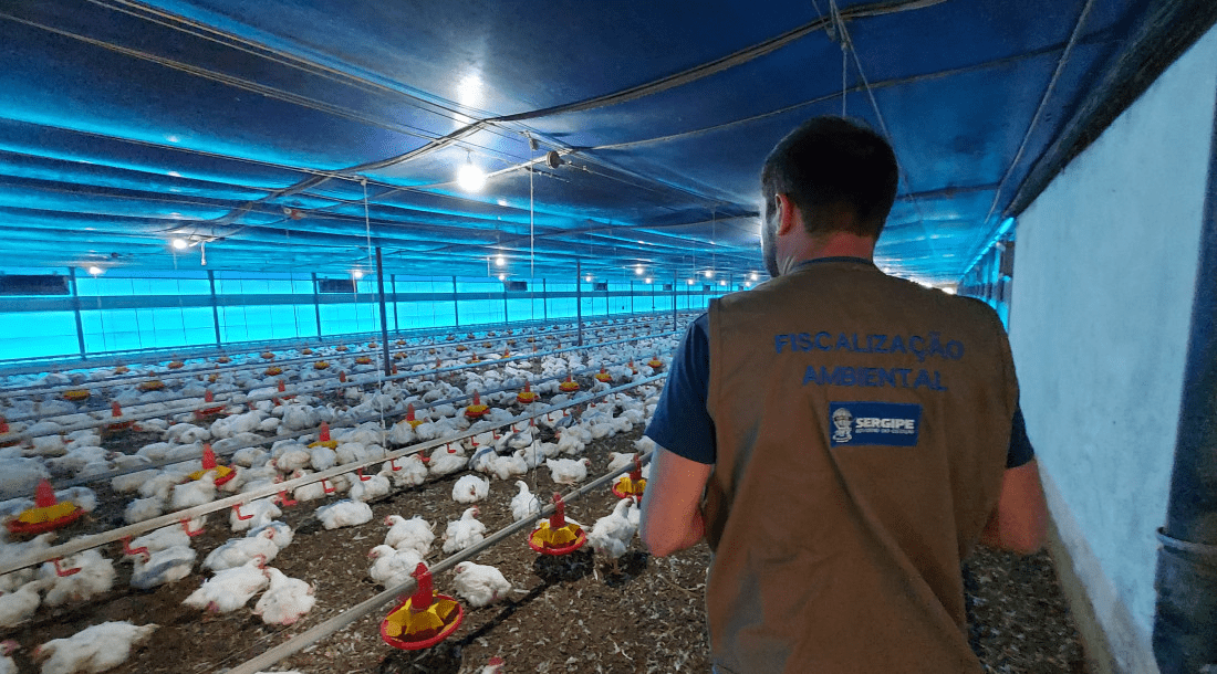 imagem_2025-09-26_221356809