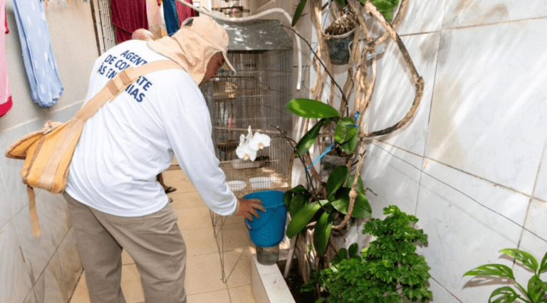 Seis municípios sergipanos apresentam alto risco de infestação do Aedes aegypti, aponta LIRAa