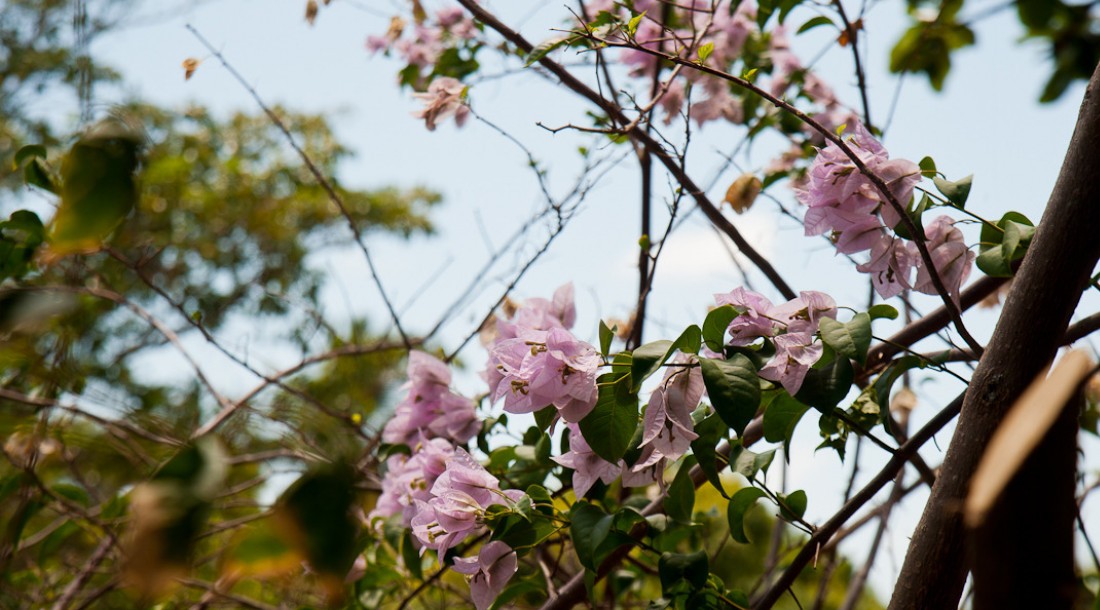 Primavera em Sergipe terá temperaturas acima da média e possibilidade de ventanias / Foto: Marcos Rodrigues