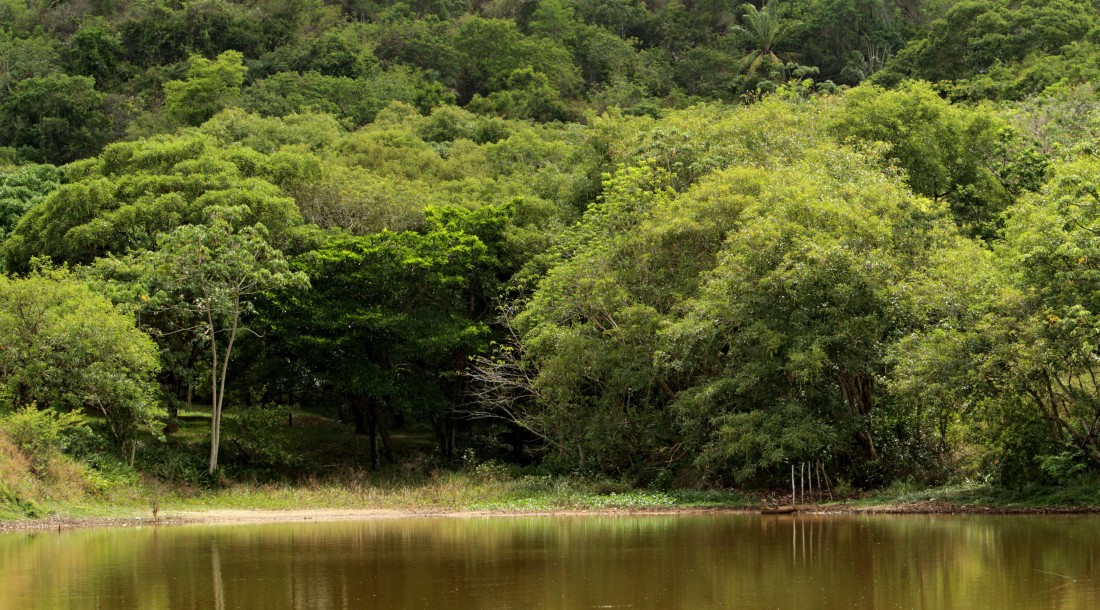 slide_88c2f610f8e9adafe7f432b11b1f350e
