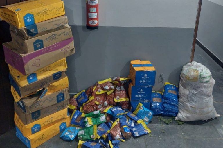 Polícia prende três envolvidos em saque de caminhão acidentado na BR-101