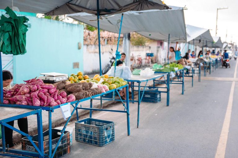 Colônia Treze recebe feira da Agricultura Familiar todas as sextas