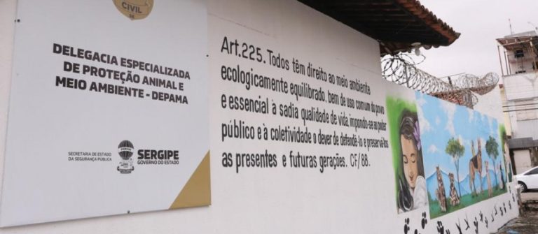 Depama orienta sobre denúncias em casos de maus-tratos a animais