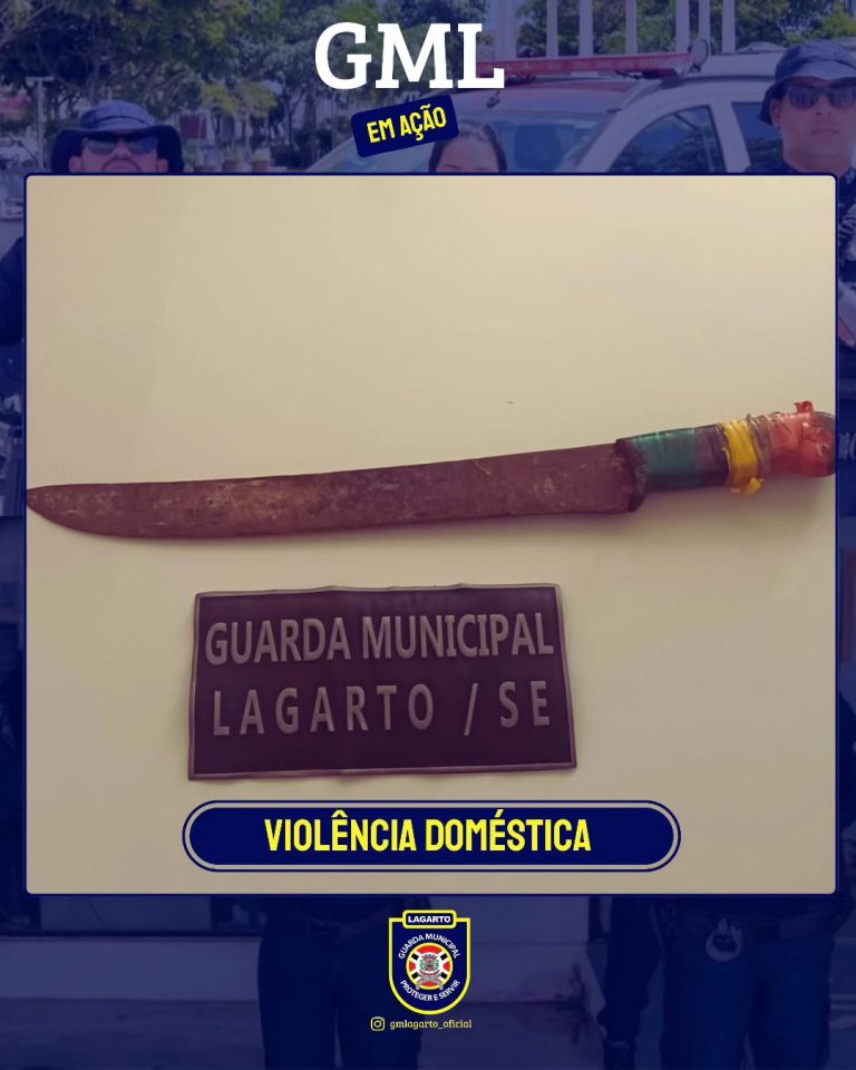 Ocorrência de violência doméstica termina com prisão em Lagarto