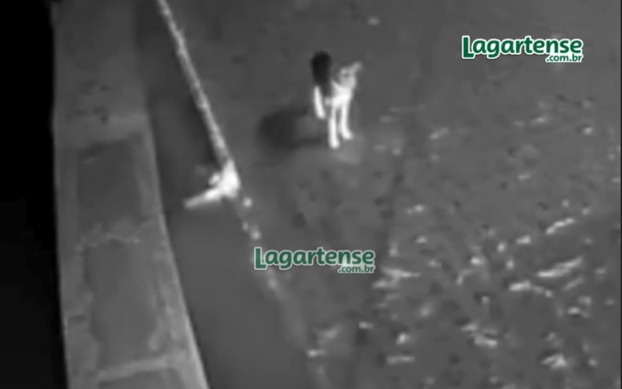 Screenshot_2026-01-15_08-25-39