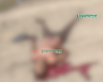 Homem  é morto a facadas no povoado Brasília, em Lagarto