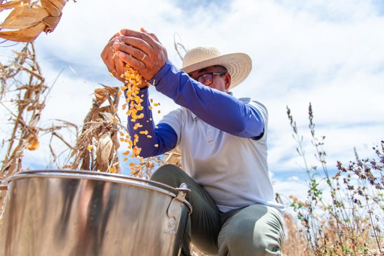 Programa Sementes do Futuro impulsiona economia sergipana com cerca de R$ 28 milhões movimentados