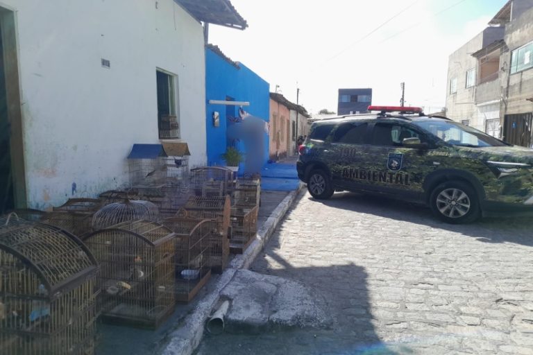 Polícia Militar autua mulher por comercialização de aves silvestres na Barra dos Coqueiros