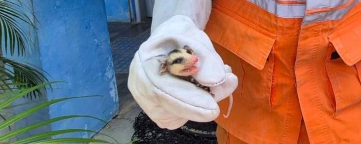 1b5d8092-b809-450a-b938-ea84311cd74c