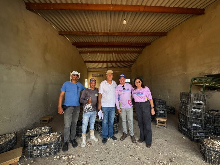 Ministério da Agricultura inicia tratativa para fortalecer cadeia produtiva da farinha em Lagarto