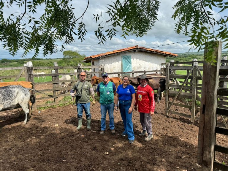Prefeitura e Emdagro consolidam ciclo de programa de Inseminação de rebanho em Lagarto