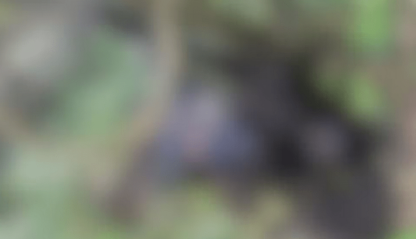 Screenshot 2026-02-22 at 21-45-26 Corpo de mototaxista é encontrado queimado e amarrado em Itaporanga G1