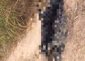 Corpo de homem é encontrado carbonizado na BR-235, em Laranjeiras