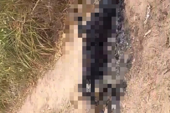 WhatsApp_Image_2026-02-26_at_17.03.2e16d0ba.fill-770x515