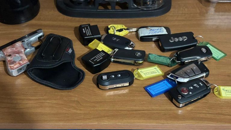 Operação interestadual prende nove investigados por esquema de subtração de veículos