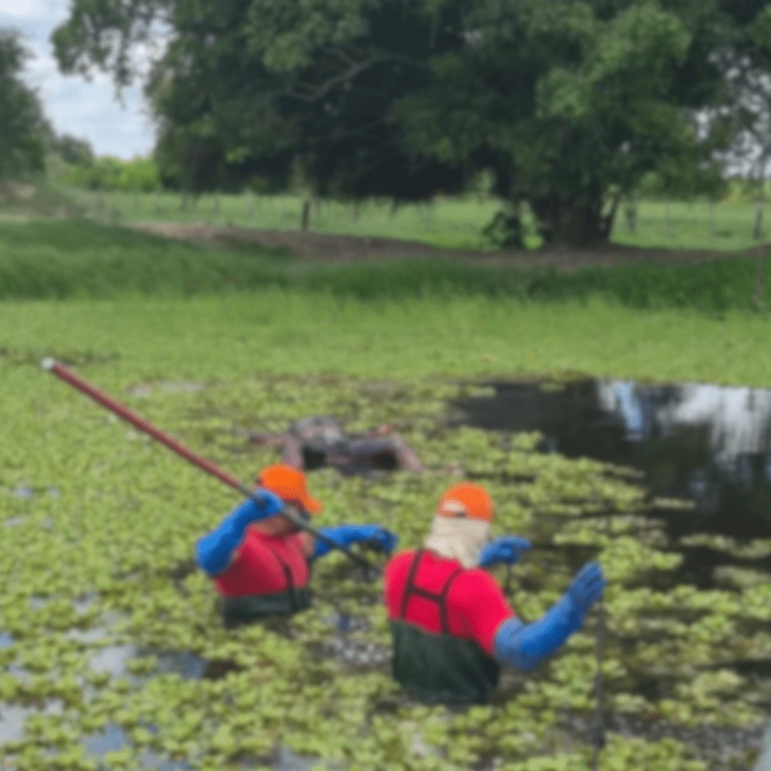 Cópia de MODELO FEED
