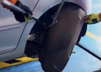 Corpo de Bombeiros regata jiboia dentro de carro em Lagarto