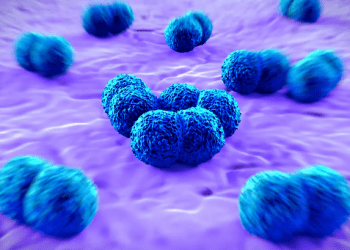 Sergipe registra caso de meningite meningocócica em paciente de 50 anos