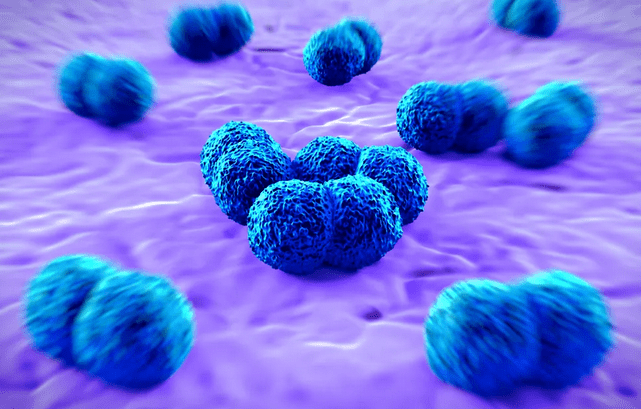 Sergipe registra caso de meningite meningocócica em paciente de 50 anos