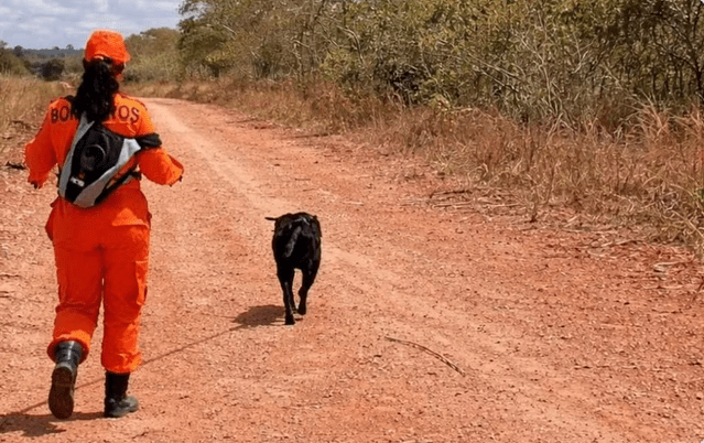 Screenshot 2026-03-16 at 17-55-08 Homem é encontrado morto após ser atacado por abelhas em Riachuelo G1
