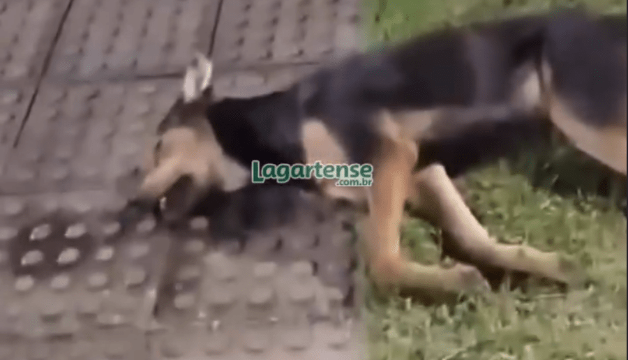 Screenshot 2026-03-26 at 10-03-28 (1) Instagram