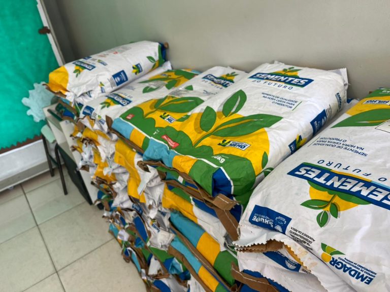 Prefeitura de Lagarto em parceria com a Emdagro inicia distribuição de sementes de Milho