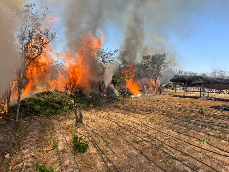 Polícia Federal deflagra Operação Midas em Sergipe e mais cinco estados