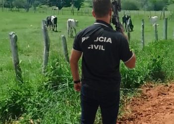 Polícia Civil recupera bezerros furtados e devolve ao proprietário em Lagarto