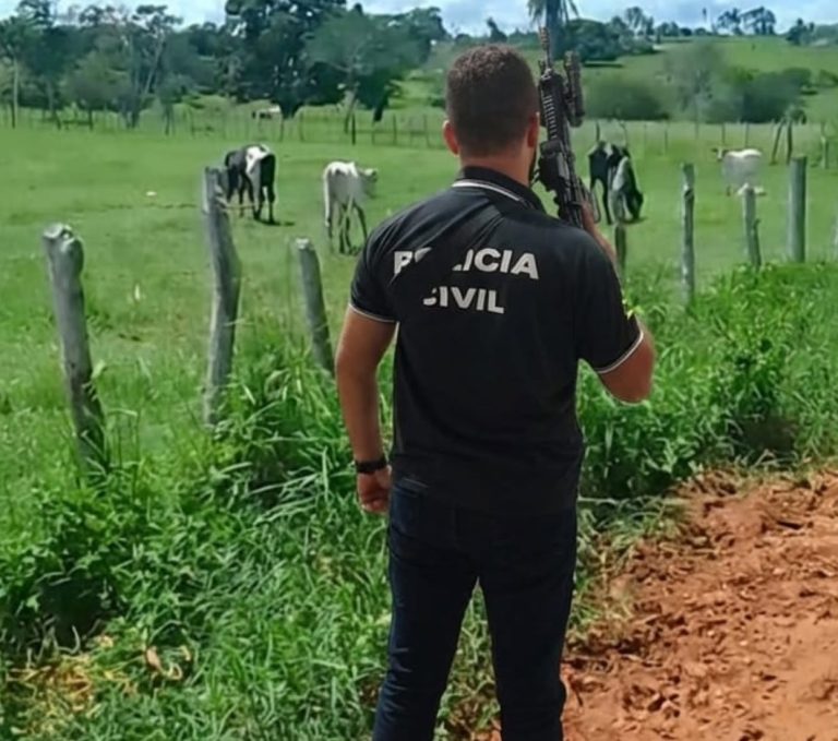Polícia Civil recupera bezerros furtados e devolve ao proprietário em Lagarto