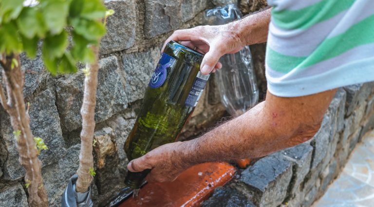 Período chuvoso acende alerta para proliferação do Aedes aegypti