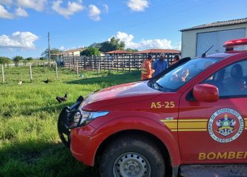 Operação Protetor dos Biomas é iniciada em Sergipe