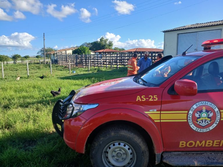 Operação Protetor dos Biomas é iniciada em Sergipe